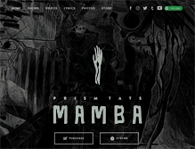 Tablet Screenshot of prismtats.com